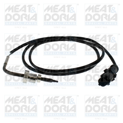 Sensor, exhaust gas temperature